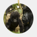 Search for gorilla ornaments Diurnal