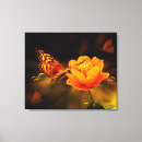 Search for butterfly canvas prints Orange