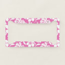 Search for flamingo license plates Hawaii