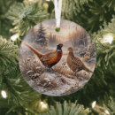 Search for pheasant ornaments Nature