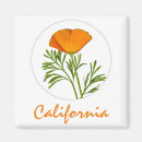 Search for california poppy gifts Wildflower