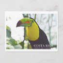 Search for costa rica postcards Wildlife