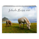 Search for icelandic horse Icelandic horses