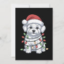 Search for dog christmas invitations Santa