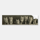 Search for vintage bumper stickers antique