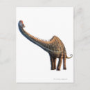 Search for dinosaur postcards Reptile