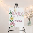 Search for baby in bloom signs Calligraphy script