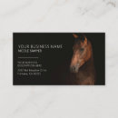 Search for equine photography business cards Elegant