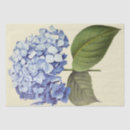 Search for blue hydrangea tissue paper Preppy