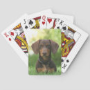 Search for dachshund playing cards Puppies