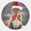 Search for christmas squirrel stickers Nature