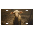 Search for lamb plates Religious