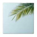 Search for palm tree tiles Sky