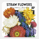 Search for flower seed packets Vintage