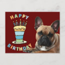 Search for funny french birthday cards Pets