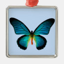 Search for pink butterfly ornaments Moth