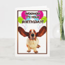 Search for basset hound birthday cards Dog