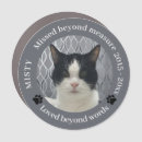 Search for guinea pig memorial Sympathy