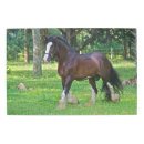 Search for standardbred horse Ranch