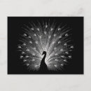 Search for peacock gifts Beautiful