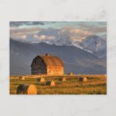Search for old barn postcards Scenic