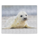 Search for seal puzzles Animals