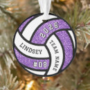 Search for volleyball ornaments Keepsake