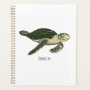 Search for turtle planners Green