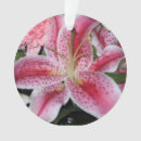 Search for stargazer lily decor Beautiful