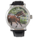 Search for horse watches Galloping
