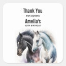 Search for black stallion stickers Wild