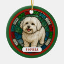 Search for coton de tulear ornaments Puppy