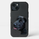 Search for labrador iphone cases Black labrador retriever