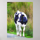 Search for black and white cow posters Cows