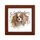 Search for dog gift boxes Animal