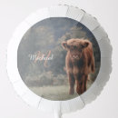 Search for highland balloons Calf