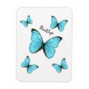 Search for butterfly magnets Caterpillar