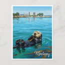 Search for sea otter California