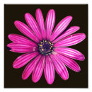 Search for 8x8 posters Flower