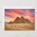 Search for camel cards Egypt