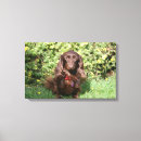 Search for long haired dachshund art Sitting