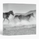 Search for horse school supplies folders Animals
