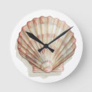 Search for seashell clocks Beach