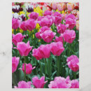 Search for floral craft supplies Pink
