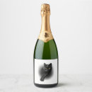 Search for black cat wine labels Crazy cat lady