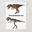 Search for dinosaur postcards Animals