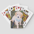 Search for golden retriever playing cards Puppy