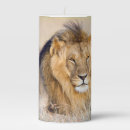Search for lion candles Big cat