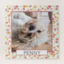 Search for dog picture puzzles Pet photo