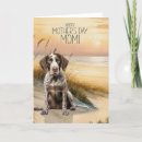 Search for german shorthaired pointer dog cards Dogs